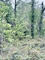  Pecan Grove Road - Photo 3