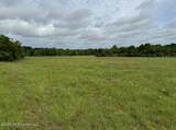  Bozeman Road - Photo 11