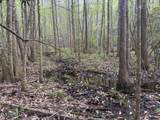  River Road - Photo 14