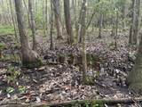  River Road - Photo 15