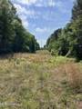  Hwy 49 - Photo 4