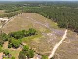 703 Ac +/- Purvis To Baxterville Road - Photo 23