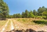 703 Ac +/- Purvis To Baxterville Road - Photo 25