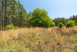 703 Ac +/- Purvis To Baxterville Road - Photo 29