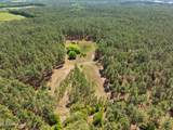 703 Ac +/- Purvis To Baxterville Road - Photo 39