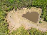 703 Ac +/- Purvis To Baxterville Road - Photo 44