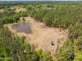 703 Ac +/- Purvis To Baxterville Road - Photo 45