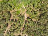 703 Ac +/- Purvis To Baxterville Road - Photo 57