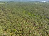 703 Ac +/- Purvis To Baxterville Road - Photo 62