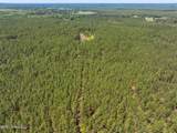 703 Ac +/- Purvis To Baxterville Road - Photo 67