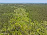 703 Ac +/- Purvis To Baxterville Road - Photo 71