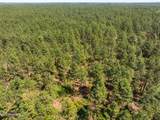 703 Ac +/- Purvis To Baxterville Road - Photo 72