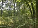 0 Summer Oak Drive - Photo 11
