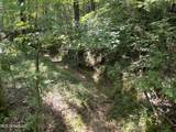 0 Summer Oak Drive - Photo 14