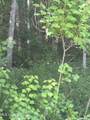  Cantania/Ridge Road - Photo 3