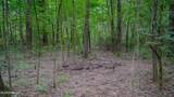 Oooo Big Creek Road - Photo 1