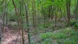 Oooo Big Creek Road - Photo 11
