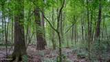 Oooo Big Creek Road - Photo 2