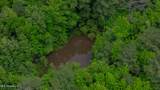 Oooo Big Creek Road - Photo 21