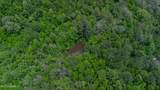 Oooo Big Creek Road - Photo 22