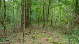 Oooo Big Creek Road - Photo 24