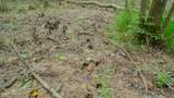 Oooo Big Creek Road - Photo 25