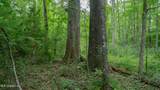 Oooo Big Creek Road - Photo 28