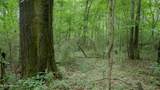 Oooo Big Creek Road - Photo 29