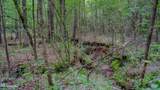 Oooo Big Creek Road - Photo 3
