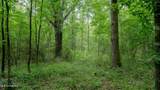 Oooo Big Creek Road - Photo 30