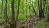 Oooo Big Creek Road - Photo 31