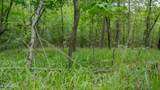 Oooo Big Creek Road - Photo 33