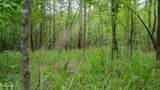 Oooo Big Creek Road - Photo 34