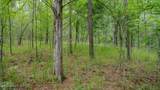 Oooo Big Creek Road - Photo 35