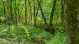 Oooo Big Creek Road - Photo 37