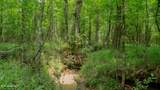 Oooo Big Creek Road - Photo 38