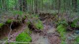 Oooo Big Creek Road - Photo 4