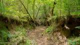 Oooo Big Creek Road - Photo 40