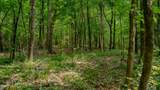 Oooo Big Creek Road - Photo 41