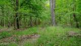 Oooo Big Creek Road - Photo 42