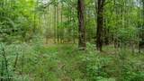 Oooo Big Creek Road - Photo 43