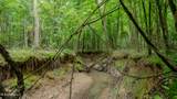 Oooo Big Creek Road - Photo 46