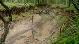 Oooo Big Creek Road - Photo 47