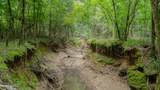 Oooo Big Creek Road - Photo 48