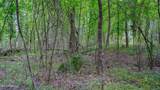 Oooo Big Creek Road - Photo 5