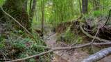 Oooo Big Creek Road - Photo 7