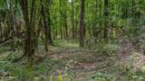 Oooo Big Creek Road - Photo 8