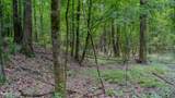 Oooo Big Creek Road - Photo 9