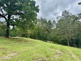 493 Gus Green Road - Photo 10