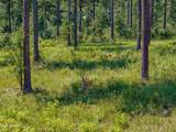 0 Frontier Bend - Photo 4